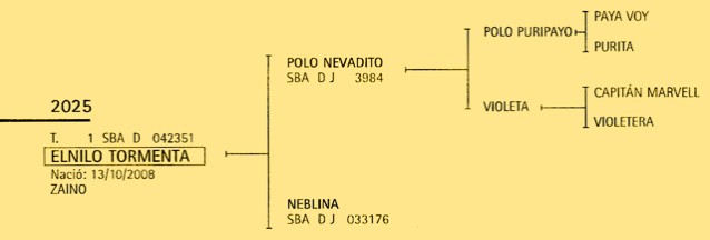 El Nilo Tormenta pedigree